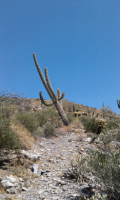 App Photo Viewer Options 12.gif